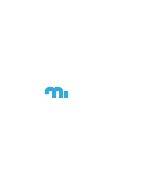 MMI Auction